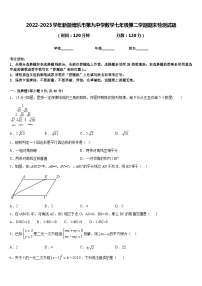 2022-2023学年新疆博乐市第九中学数学七年级第二学期期末检测试题含答案