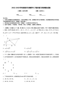 2022-2023学年新疆莎车县数学七下期末复习检测模拟试题含答案