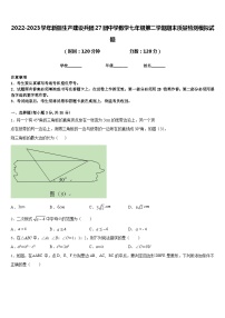 2022-2023学年新疆生产建设兵团27团中学数学七年级第二学期期末质量检测模拟试题含答案