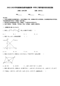 2022-2023学年新疆吐鲁番市高昌区第一中学七下数学期末综合测试试题含答案