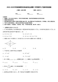 2022-2023学年新疆维吾尔自治区轮台县第二中学数学七下期末检测试题含答案