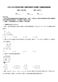 2022-2023学年武汉市第二初级中学数学七年级第二学期期末调研试题含答案