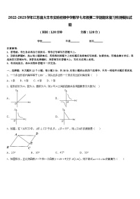 2022-2023学年江苏省大丰市实验初级中学数学七年级第二学期期末复习检测模拟试题含答案