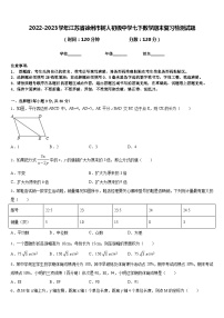 2022-2023学年江苏省徐州市树人初级中学七下数学期末复习检测试题含答案