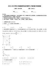 2022-2023学年江苏省扬州市仪征市数学七下期末复习检测试题含答案