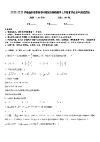 2022-2023学年山东省枣庄市峄城区底阁镇数学七下期末学业水平测试试题含答案