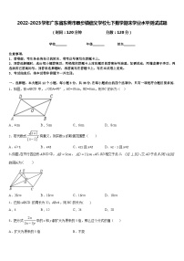 2022-2023学年广东省东莞市寮步镇信义学校七下数学期末学业水平测试试题含答案