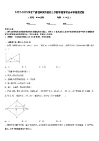 2022-2023学年广西省来宾市名校七下数学期末学业水平测试试题含答案