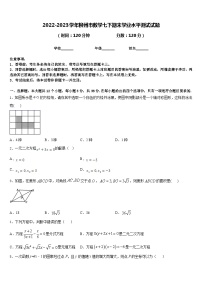 2022-2023学年柳州市数学七下期末学业水平测试试题含答案