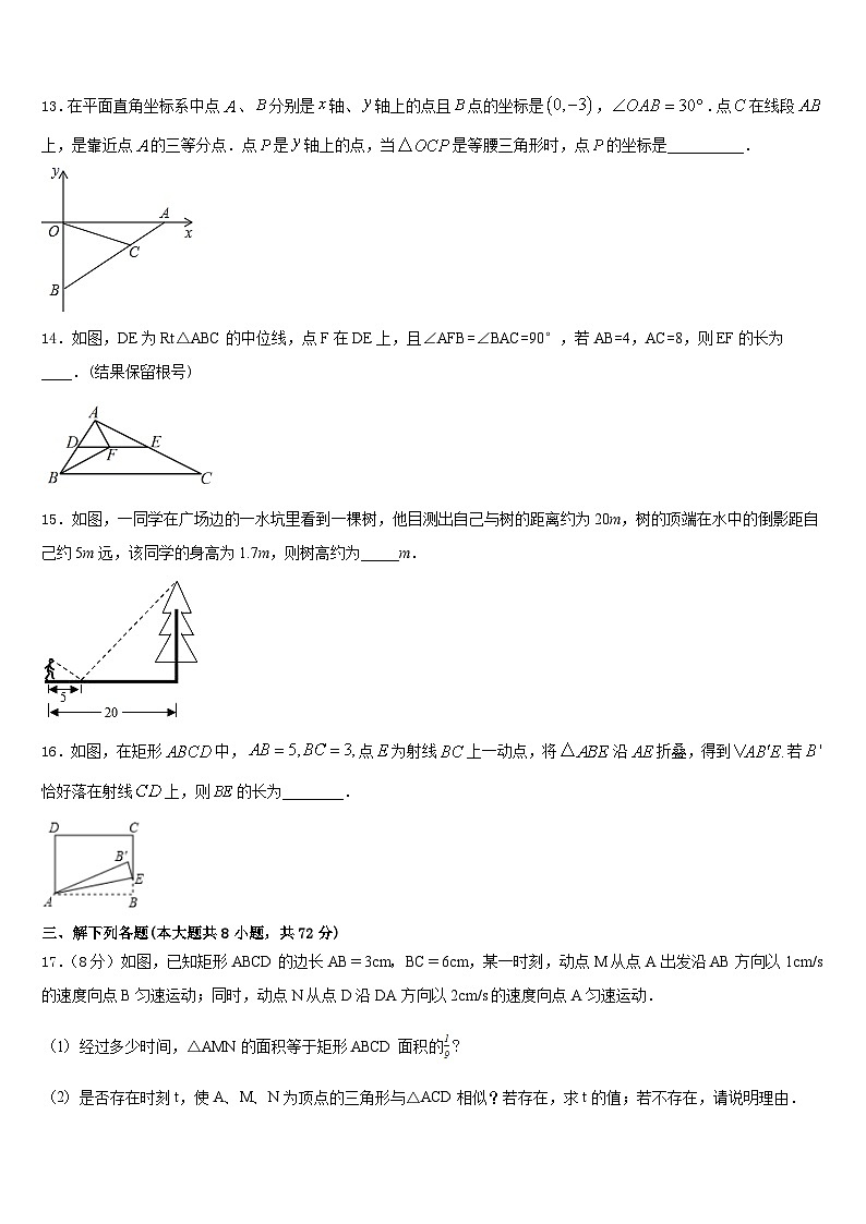 2022-2023学年江苏省泰州市民兴实验中学七下数学期末质量检测试题含答案03
