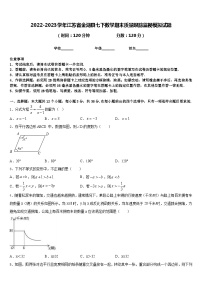 2022-2023学年江苏省金湖县七下数学期末质量跟踪监视模拟试题含答案