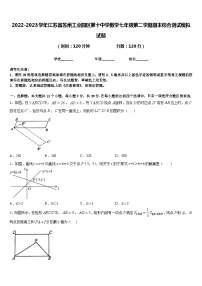 2022-2023学年江苏省苏州工业园区第十中学数学七年级第二学期期末综合测试模拟试题含答案