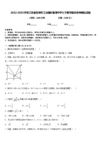 2022-2023学年江苏省苏州市工业园区星湾中学七下数学期末统考模拟试题含答案