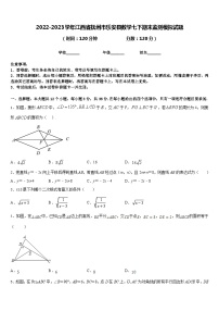 2022-2023学年江西省抚州市乐安县数学七下期末监测模拟试题含答案