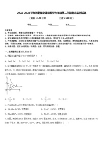 2022-2023学年河北保定雄县数学七年级第二学期期末监测试题含答案