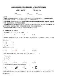 2022-2023学年河北省博野县数学七下期末达标检测试题含答案