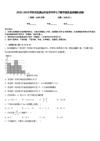 2022-2023学年河北唐山市龙华中学七下数学期末监测模拟试题含答案