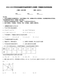 2022-2023学年河北省廊坊市霸州市数学七年级第二学期期末质量检测试题含答案