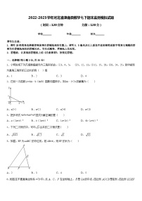 2022-2023学年河北省滦南县数学七下期末监测模拟试题含答案