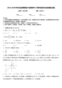 2022-2023学年河北省秦皇岛卢龙县联考七下数学期末综合测试模拟试题含答案