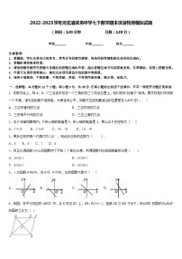 2022-2023学年河北省武邑中学七下数学期末质量检测模拟试题含答案