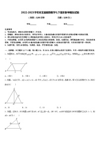 2022-2023学年河北省献县数学七下期末联考模拟试题含答案