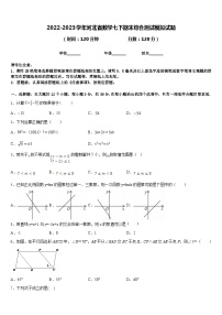 2022-2023学年河北省数学七下期末综合测试模拟试题含答案