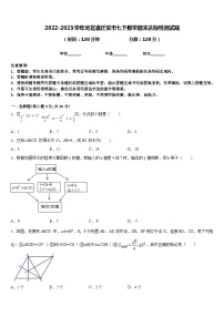 2022-2023学年河北省迁安市七下数学期末达标检测试题含答案