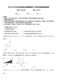 2022-2023学年河北省邢台市临西县数学七下期末质量跟踪监视试题含答案