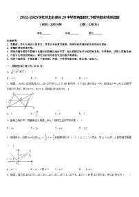 2022-2023学年河北石家庄28中学教育集团七下数学期末检测试题含答案