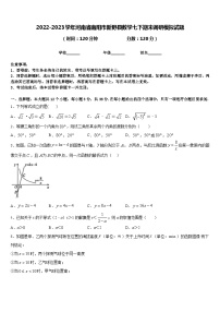 2022-2023学年河南省南阳市新野县数学七下期末调研模拟试题含答案