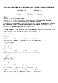 2022-2023学年河南省周口市第十初级中学数学七年级第二学期期末统考模拟试题含答案