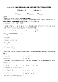 2022-2023学年河南省周口商水县联考七年级数学第二学期期末检测试题含答案