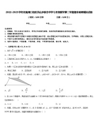 2022-2023学年河南周口地区洪山乡联合中学七年级数学第二学期期末调研模拟试题含答案