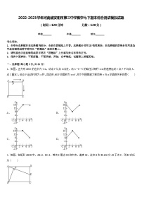 2022-2023学年河南省安阳市第三中学数学七下期末综合测试模拟试题含答案