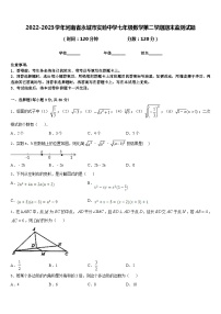 2022-2023学年河南省永城市实验中学七年级数学第二学期期末监测试题含答案