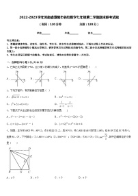 2022-2023学年河南省濮阳市名校数学七年级第二学期期末联考试题含答案