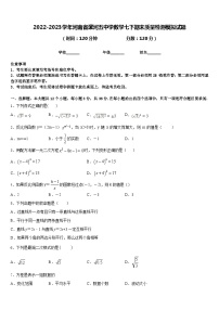 2022-2023学年河南省漯河五中学数学七下期末质量检测模拟试题含答案