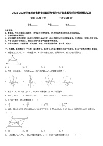 2022-2023学年河南省新乡辉县联考数学七下期末教学质量检测模拟试题含答案