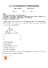 2022-2023学年泉州市重点中学七下数学期末达标测试试题含答案