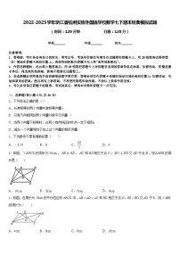 2022-2023学年浙江省杭州实验外国语学校数学七下期末经典模拟试题含答案