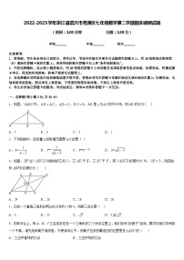 2022-2023学年浙江省嘉兴市秀洲区七年级数学第二学期期末调研试题含答案