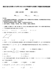 黑龙江省大庆市第六十九中学2022-2023学年数学七年级第二学期期末质量跟踪监视试题含答案