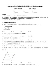 2022-2023学年浙江省湖州市第四中学数学七下期末综合测试试题含答案