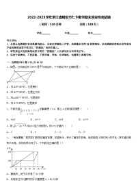 2022-2023学年浙江省瑞安市七下数学期末质量检测试题含答案