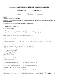 2022-2023学年浙江省绍兴市海亮数学七下期末复习检测模拟试题含答案