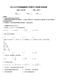 2022-2023学年海南省儋州三中学数学七下期末复习检测试题含答案