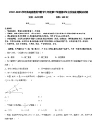 2022-2023学年海南省儋州市数学七年级第二学期期末学业质量监测模拟试题含答案