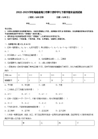 2022-2023学年海南省海口市第十四中学七下数学期末监测试题含答案