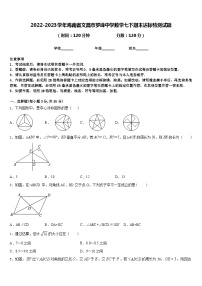 2022-2023学年海南省文昌市罗峰中学数学七下期末达标检测试题含答案